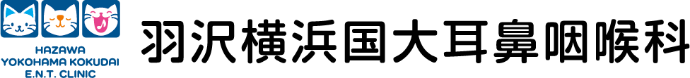羽沢横浜国大耳鼻咽喉科